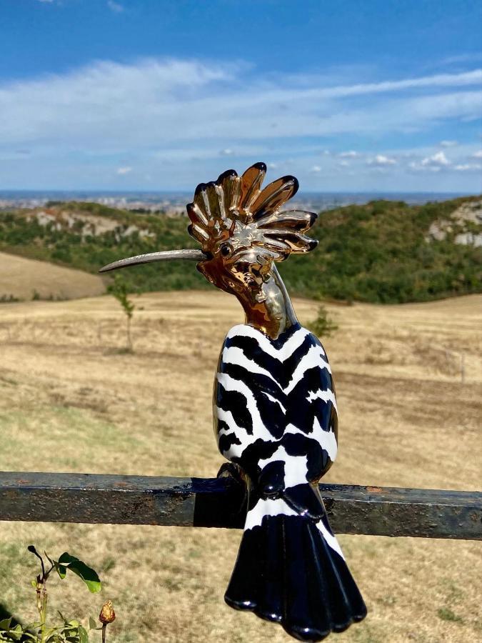 Ca Bianca Dell'abbadessa * San Lazzaro di Savena