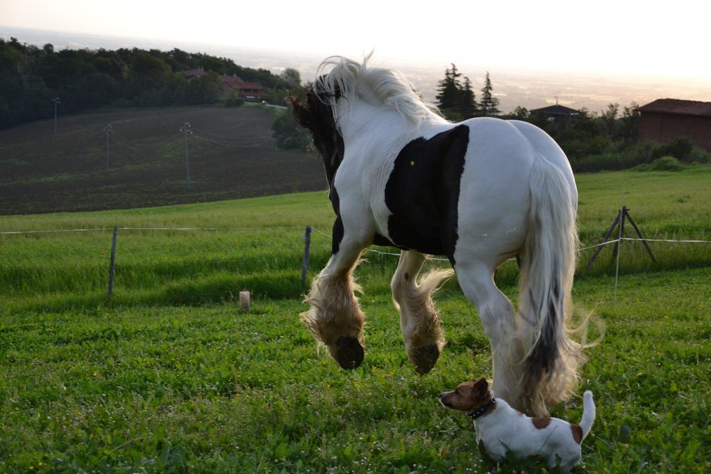 Ca Bianca Dell'abbadessa Landhuis
