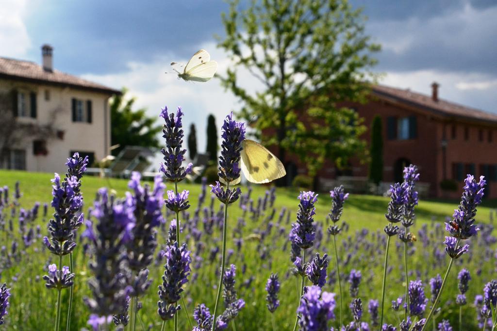 Ca Bianca Dell'abbadessa * San Lazzaro di Savena