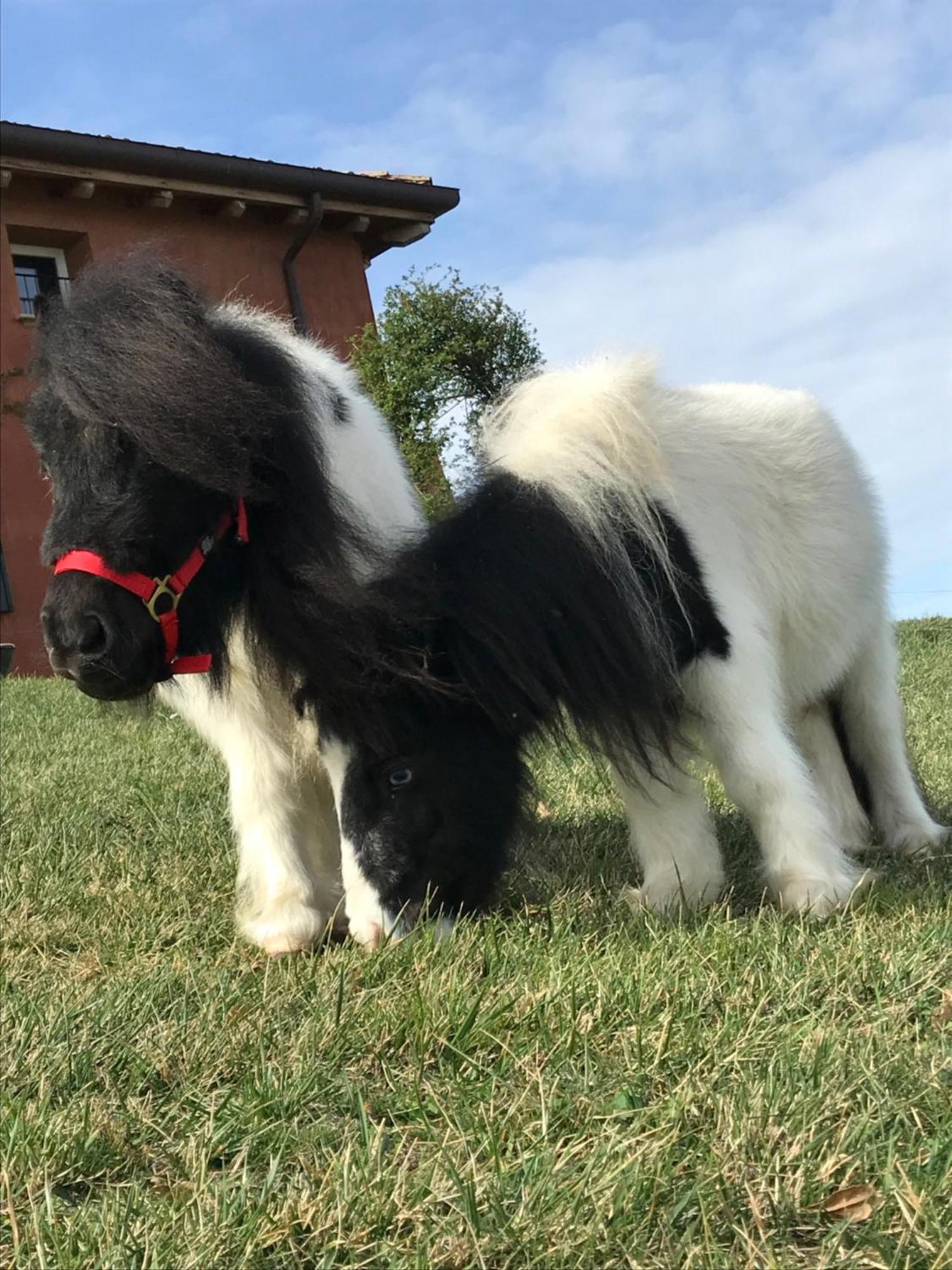 Ca Bianca Dell'abbadessa