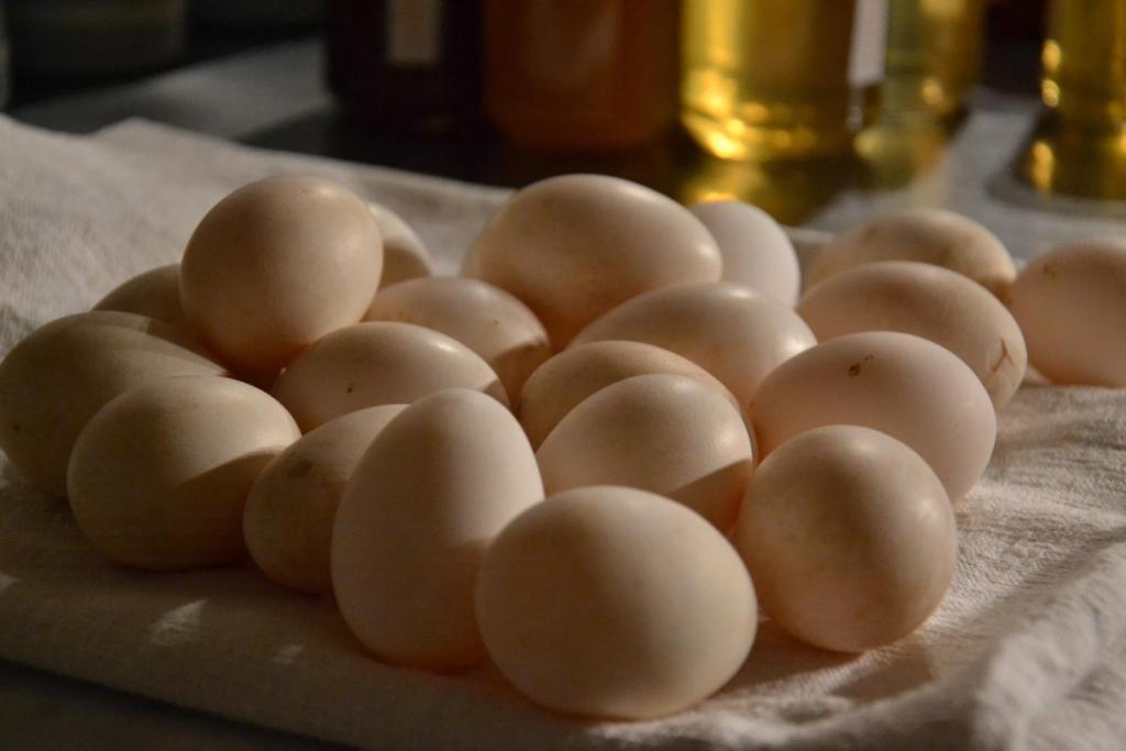 Ca Bianca Dell'abbadessa San Lazzaro di Savena